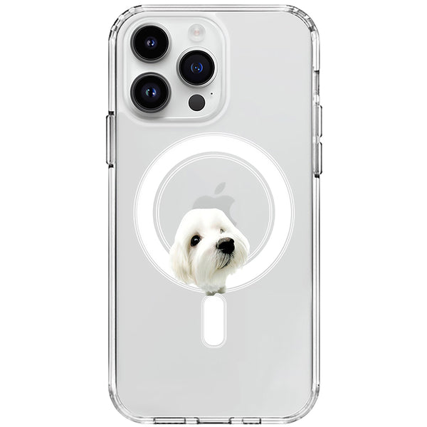 Clear Anti-Shock Magsafe iPhone Case Pitbull| Retriever Dog Lovers Transparent Phone Covers iPhone 15/14/13/12 Pro/Pro Max All Models