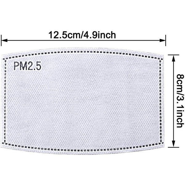 PM2.5 filter sheet/ cloth mask insert