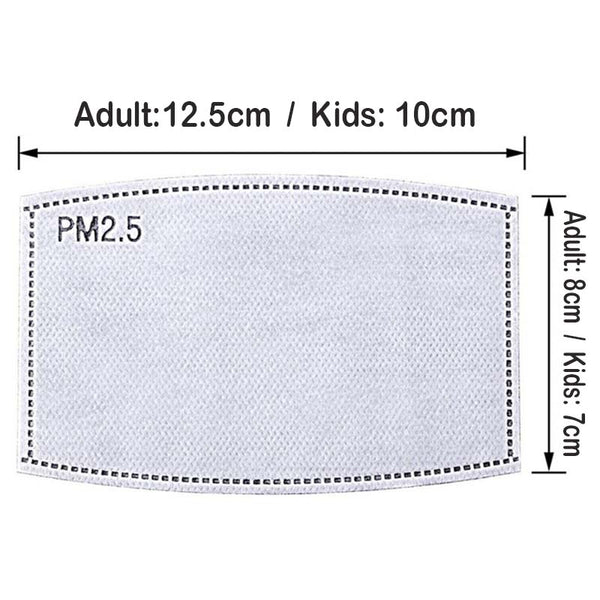 PM2.5 filter pad