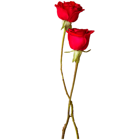 test for payment method