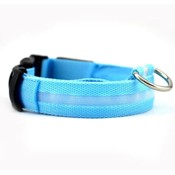 FREE Dog & Cat LED Collar - Blue / L