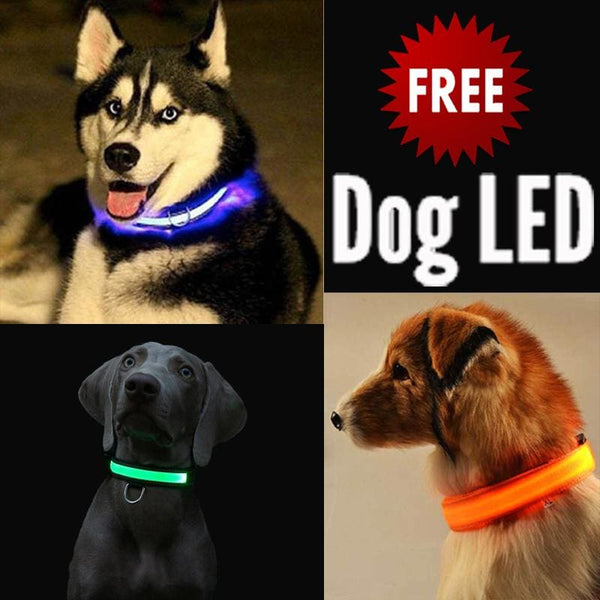 FREE Dog & Cat LED Collar