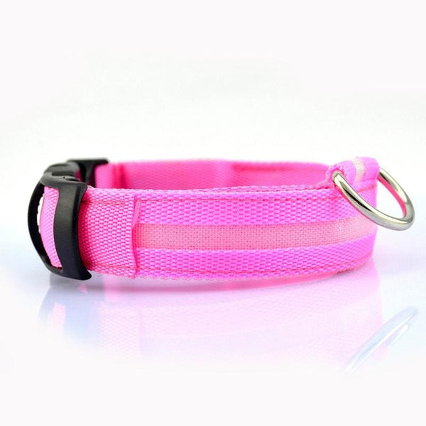 FREE Dog & Cat LED Collar - Pink / L