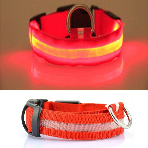 FREE Dog & Cat LED Collar - Red / L