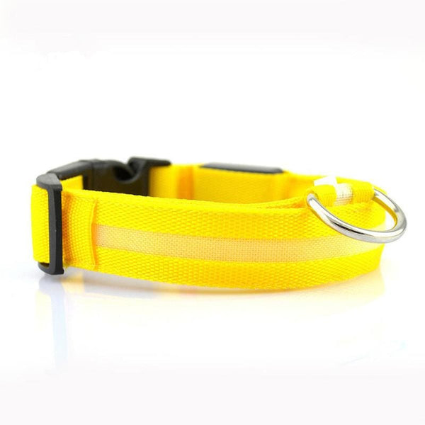 FREE Dog & Cat LED Collar - Yellow / L
